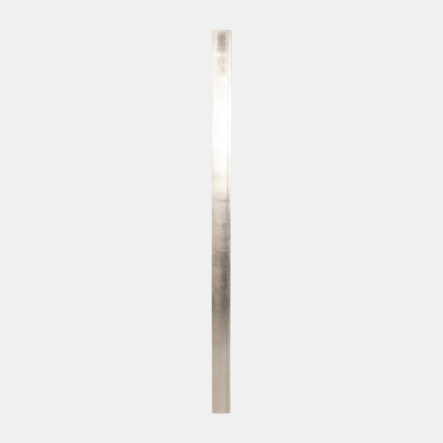 47x94, Gold Scales Mirror