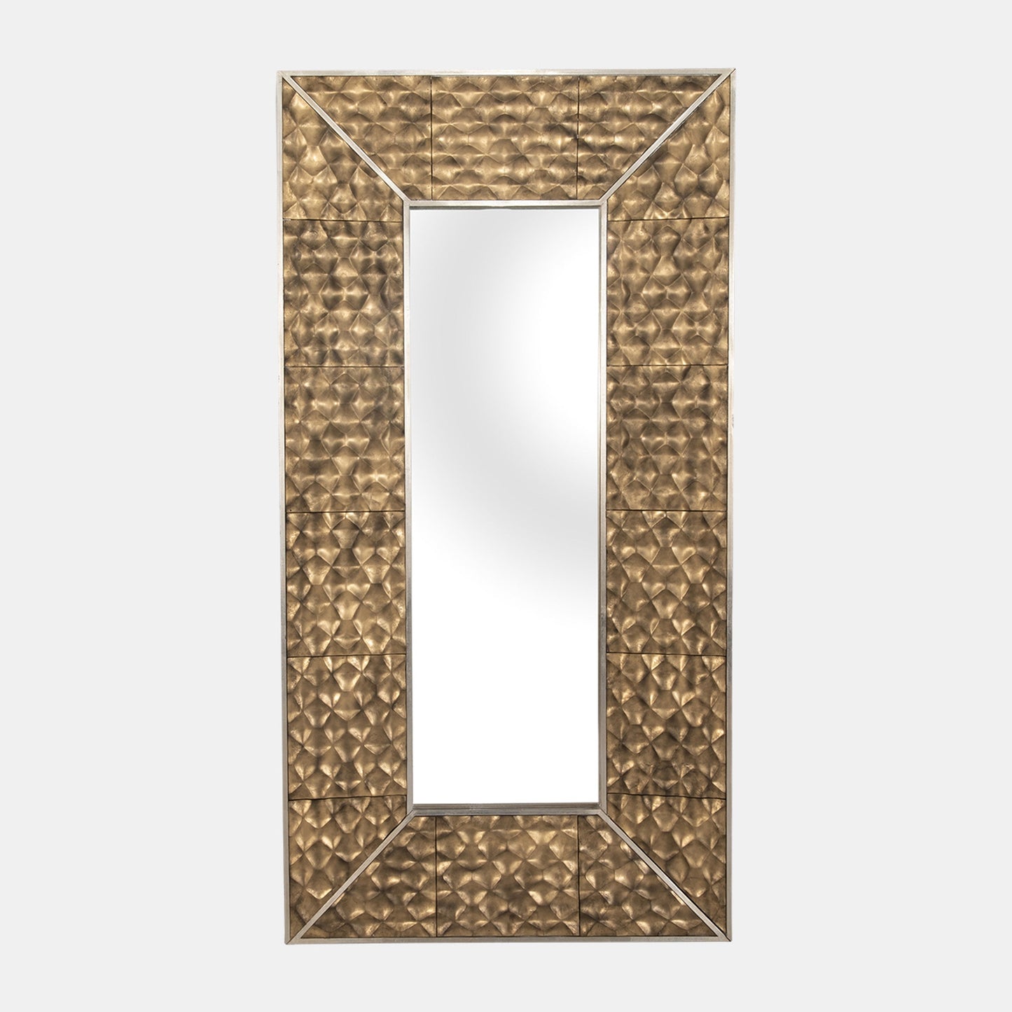 47x94, Gold Scales Mirror