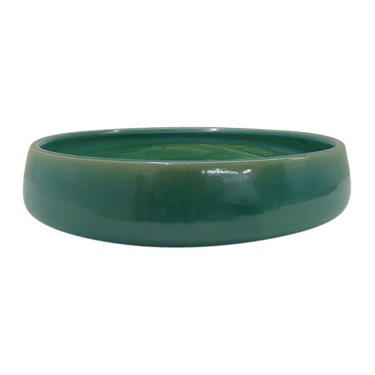 15" Reactive Succulent Planter Bowl, Seafoam