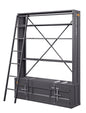 Cargo Bookcase W/Ladder