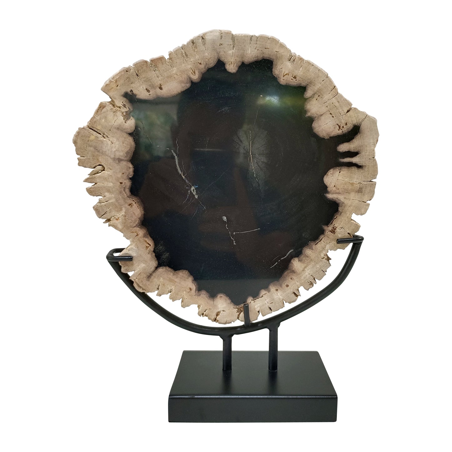 Petrified Wood, 12" Table Top Deco, Black