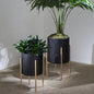 S/2 Textured Planter On Metalstand, Black/gld