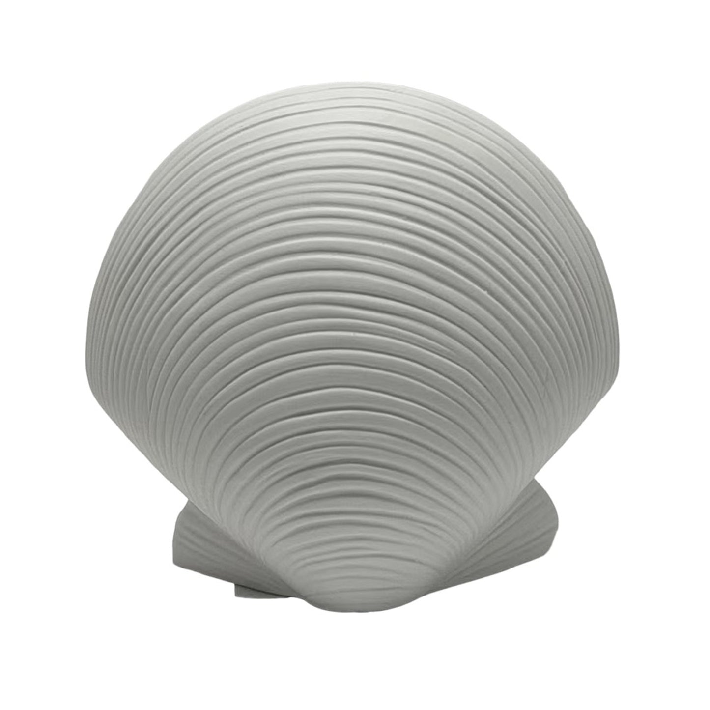 6" Seashell Decor, White