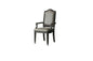 House Beatrice Arm Chair (Set-2)