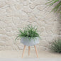 S/2 11/15" Terrazzo Planter W/ Wood Legs,  Gray