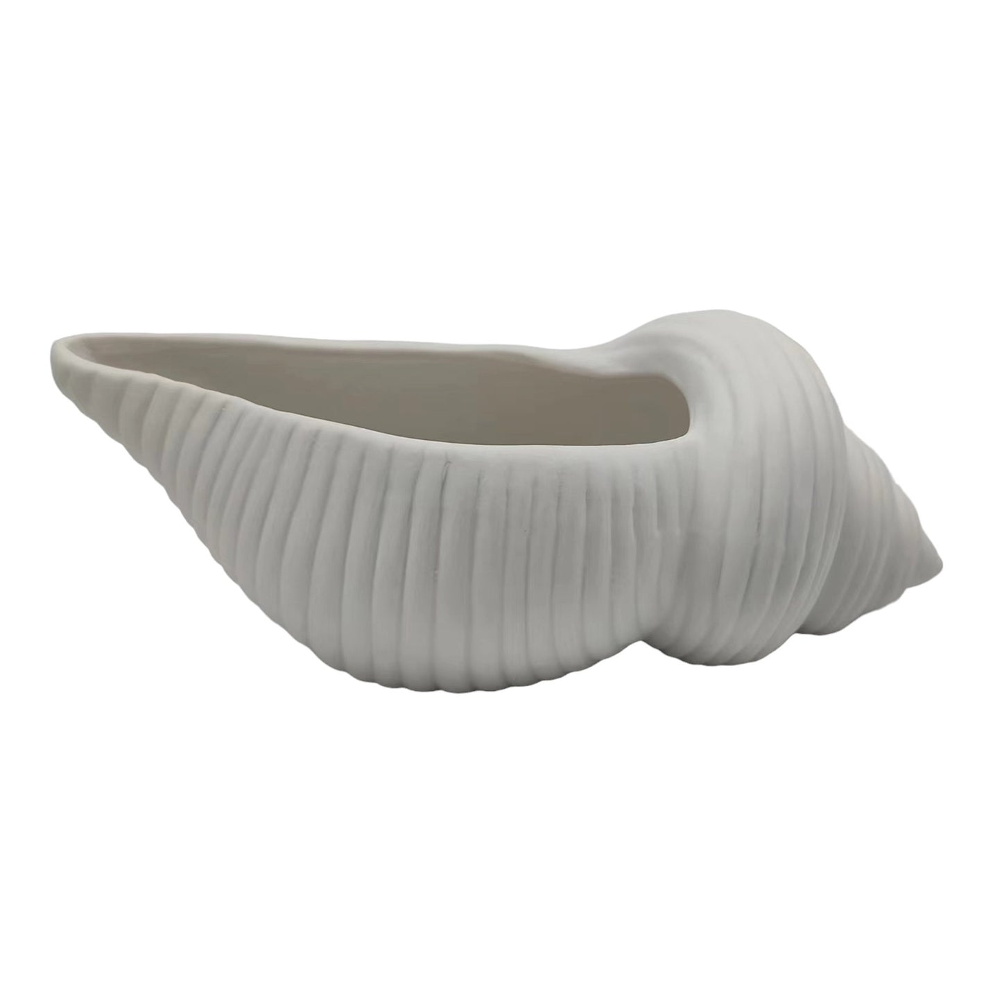 9" Conch Shell Planter, White