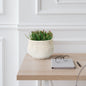 7" Grandpa Planter, White