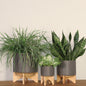 10" Planter W/ Wood Stand, Matte Gray