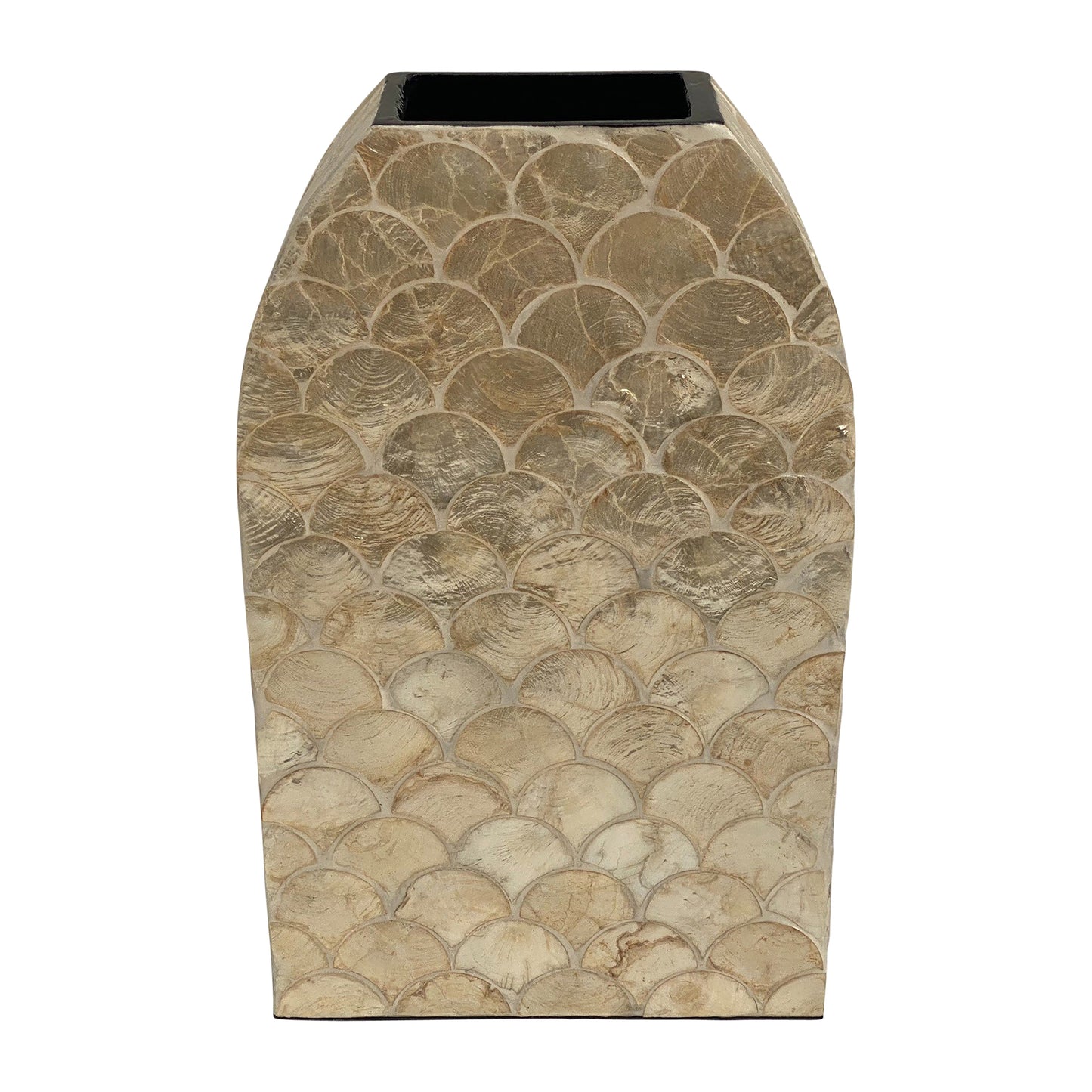 Shell, 15"decorative Vase, Natural